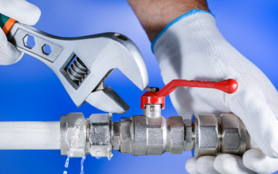 Expert Plumbing Services: Why DIY Isn’t Always the Best Option
