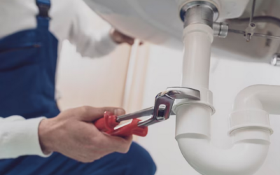Top Plumbing Tips to Prevent Costly Emergencies and Maintain a Healthy Home